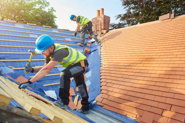 Best Solar Panel Roofing Installation  in Taylor, TX